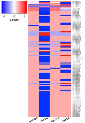 miR-7b-3p Exerts a Dual Role After Spinal Cord Injury, by Supporting Plasticity and Neuroprotection at Cortical Level